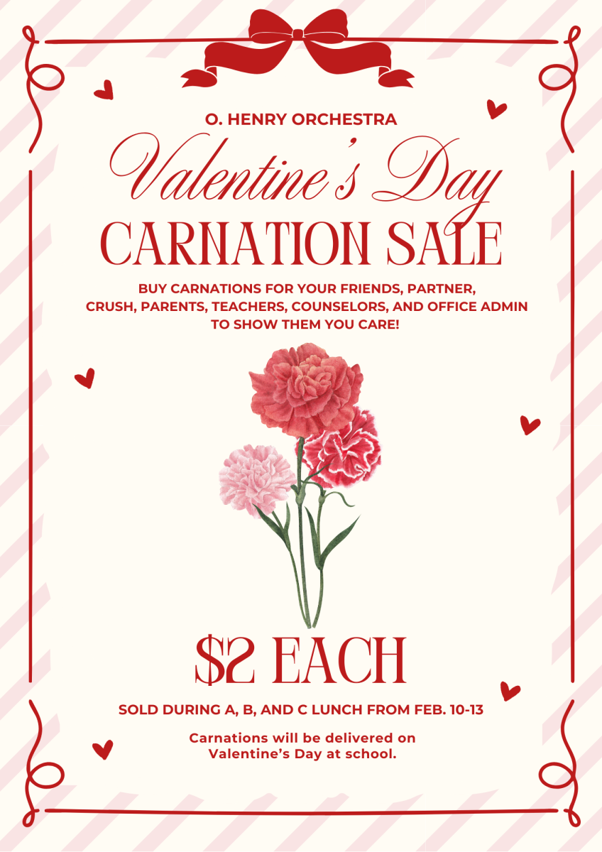 Orchestra Valentines Day Carnation Sale