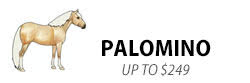 Palomino