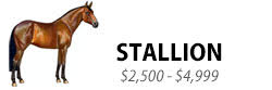 Stallion