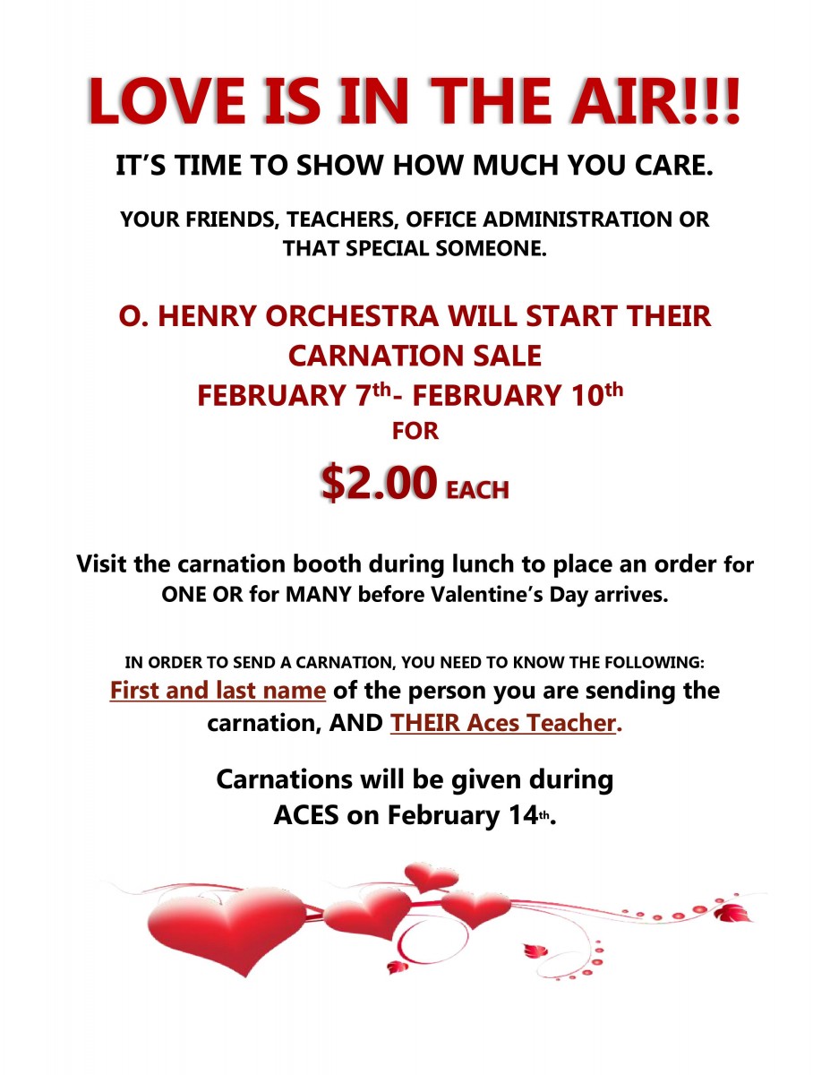 Love is in the Air Orchestra Carnation Sale