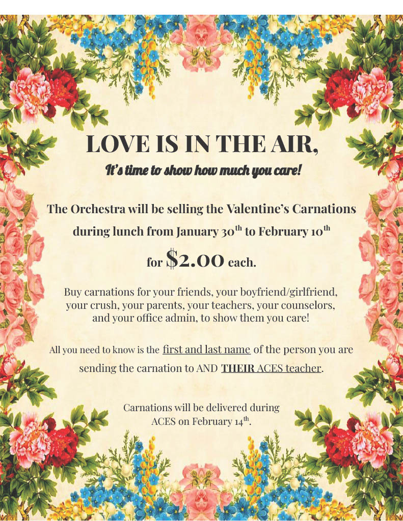 Orchestra: Love is in the Air Carnation Sale